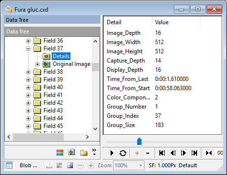 Field Summary Details in Table View
